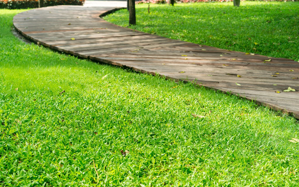 Suelo de jardín económico