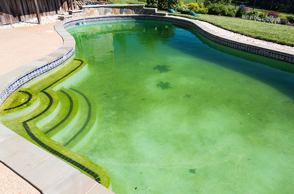 Un incorrecto mantenimiento de piscina produce agua verde y proliferación de algas